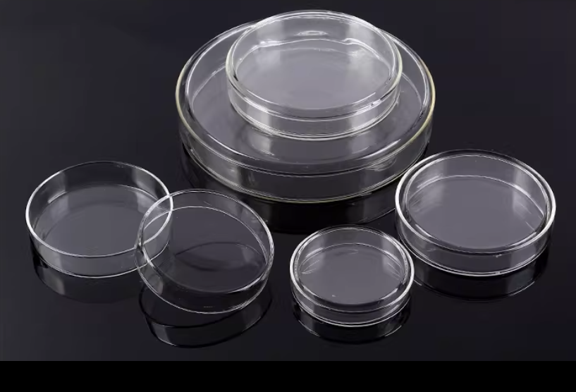 高硼硅玻璃培养皿60/75/90/100/120/180mm 实验室微生物细胞细菌培养皿